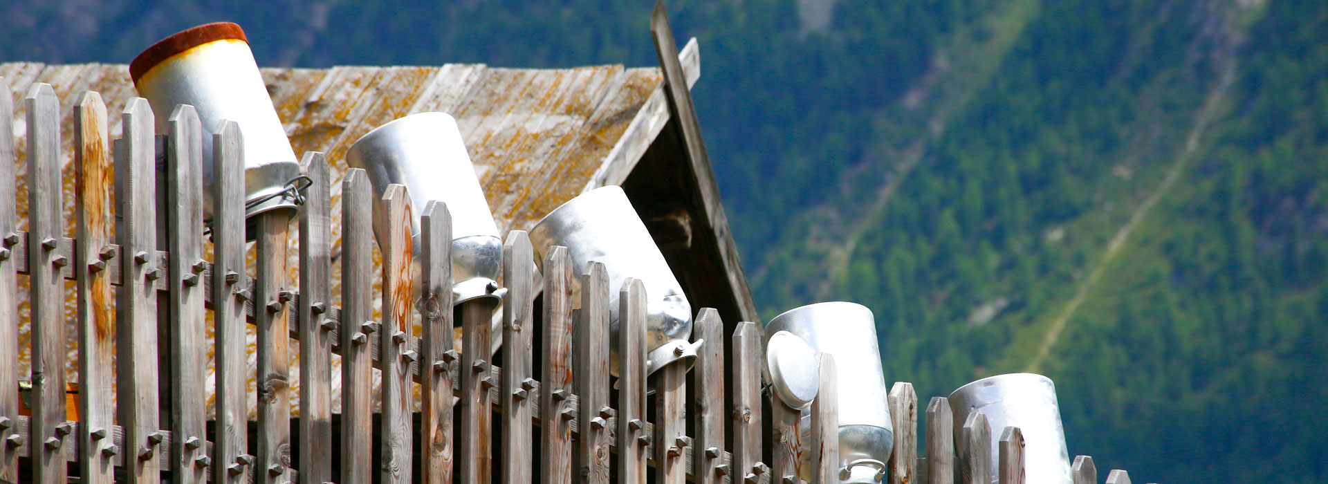 Marchegghof in Kurzras