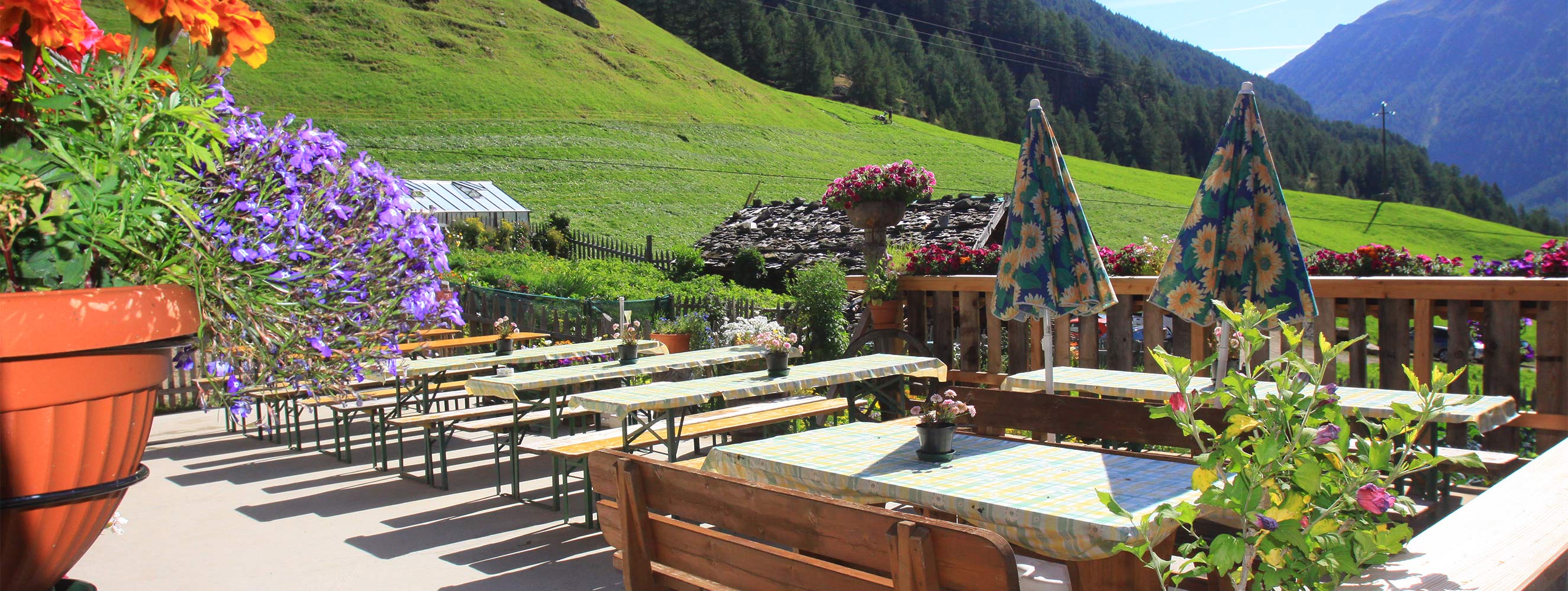Terrasse am Marchegghof