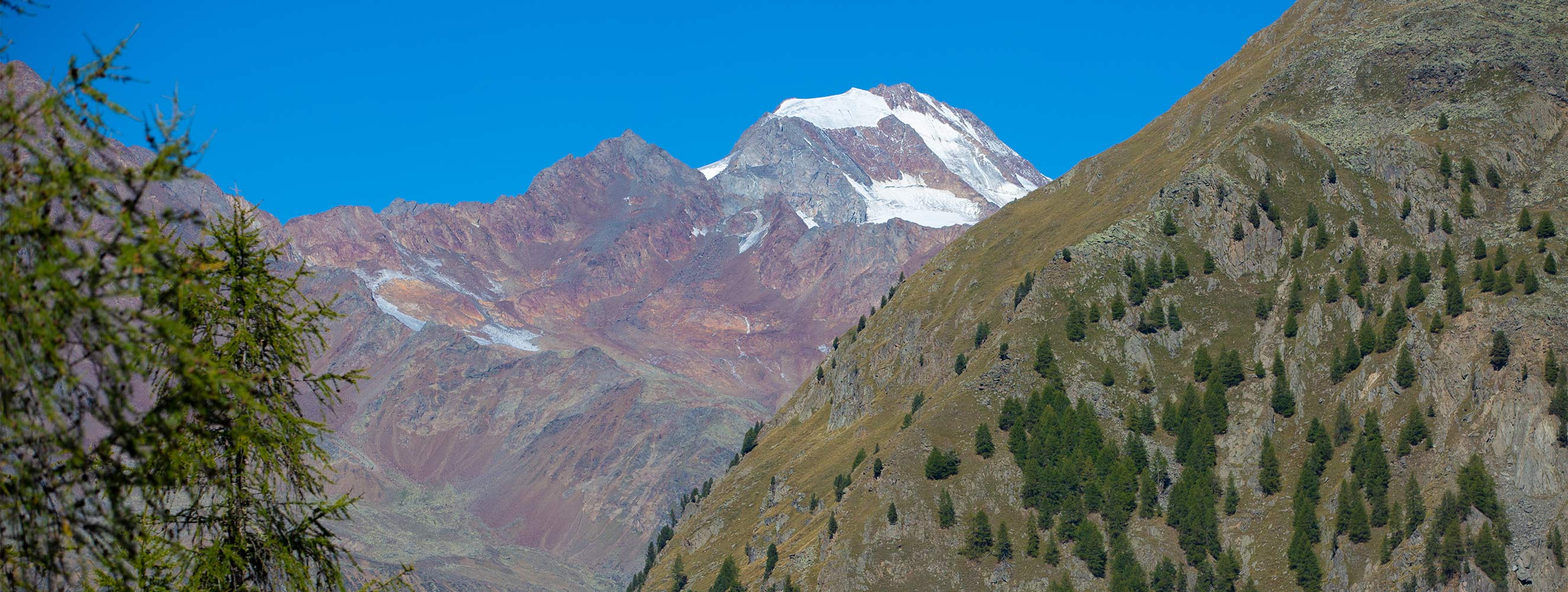 Wandern und Freizeit im Schnalstal