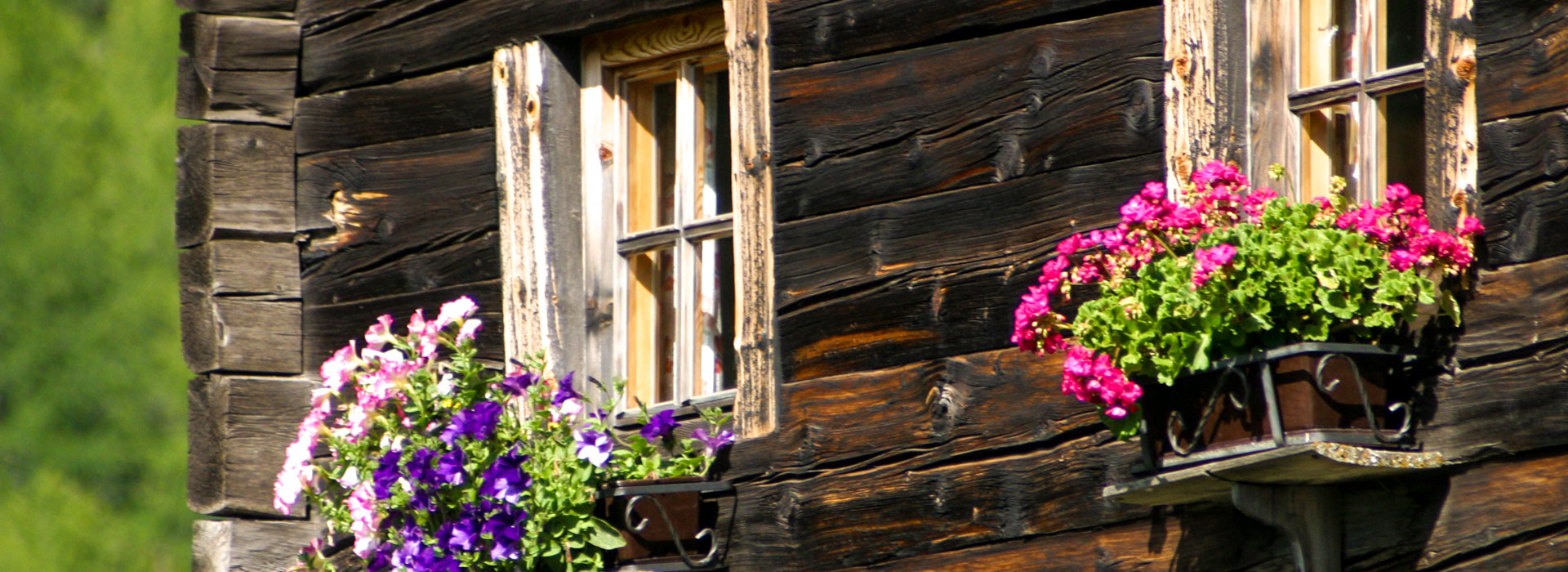 Marchegghof in Kurzras